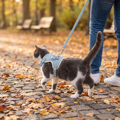 Harnais Chat Nounours bleu au parc