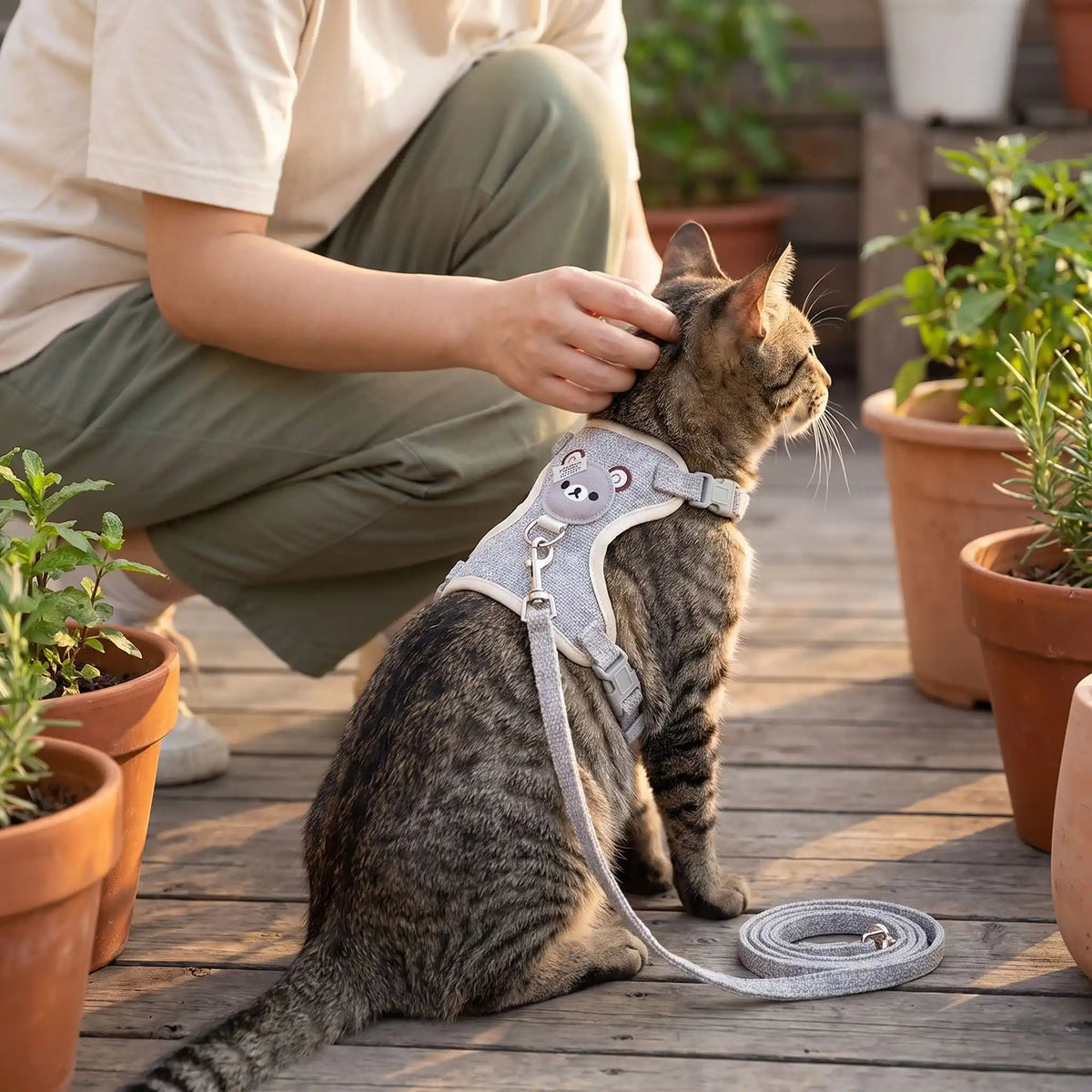 Harnais Chat Nounours gris sur la terrasse