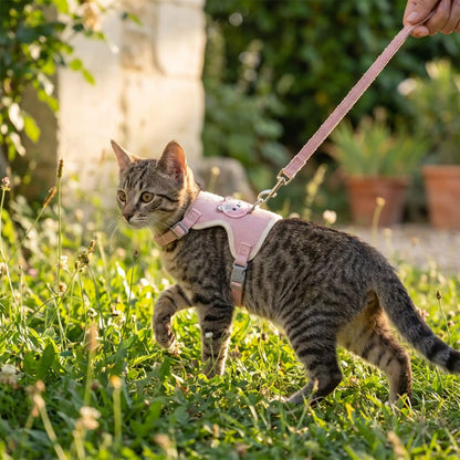 Harnais Chat Nounours rose au jardin