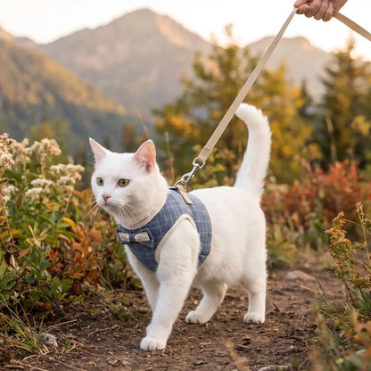 Harnais pour chat bleu en randonnée